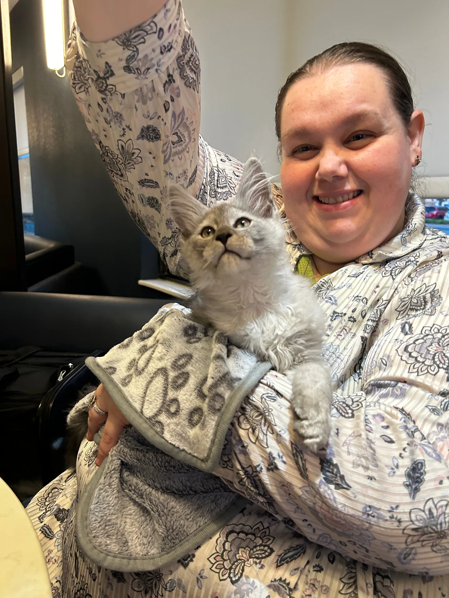 Happy adopter with silver Maine Coon kitten — Chatlerie graduate
